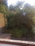 Greystown Avenue (Photo 4)